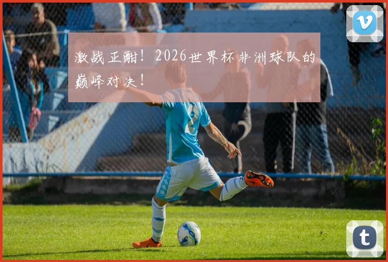 激战正酣!2026世界杯非洲球队的巅峰对决!