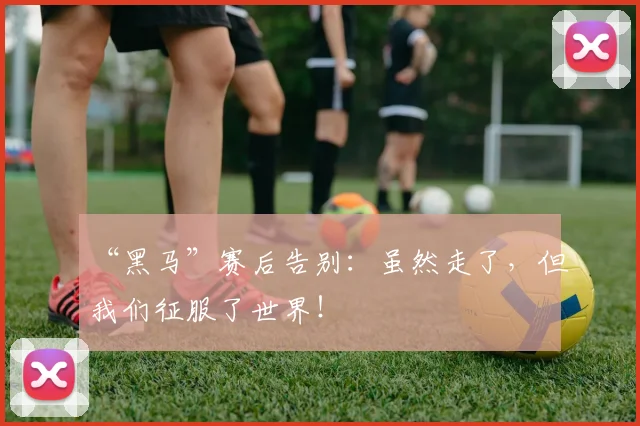 “黑马”赛后告别:虽然走了,但我们征服了世界!