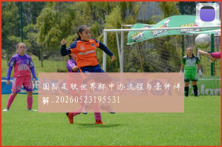 国际足联世界杯申办流程与条件详解_20260523195531