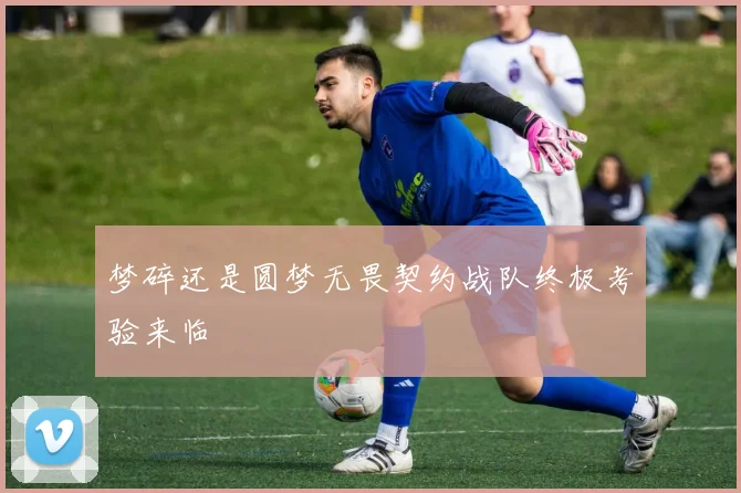 梦碎还是圆梦无畏契约战队终极考验来临