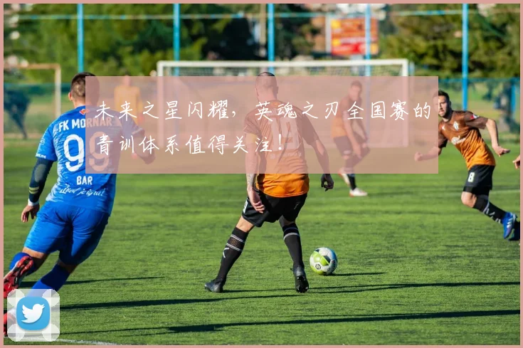 未来之星闪耀,英魂之刃全国赛的青训体系值得关注!