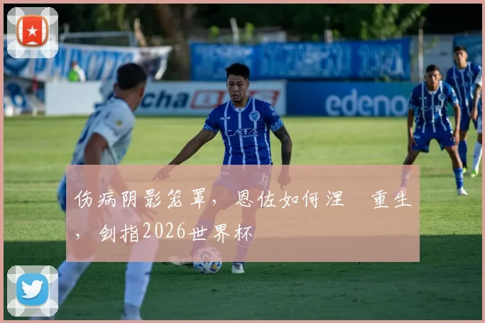 伤病阴影笼罩,恩佐如何涅槃重生,剑指2026世界杯