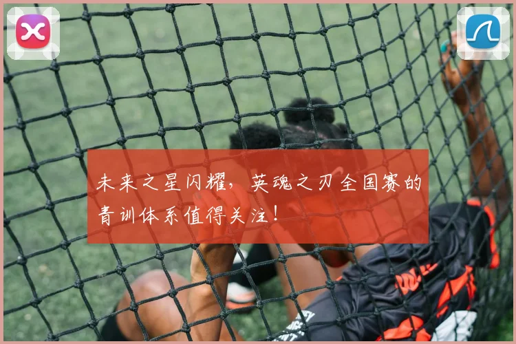 未来之星闪耀,英魂之刃全国赛的青训体系值得关注!